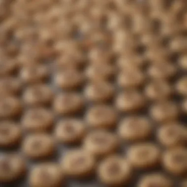 Culinary Uses for Cookies A creative display of cookies used in various culinary applications