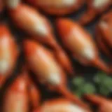 Close-up of succulent cooked crab claws showcasing their natural texture