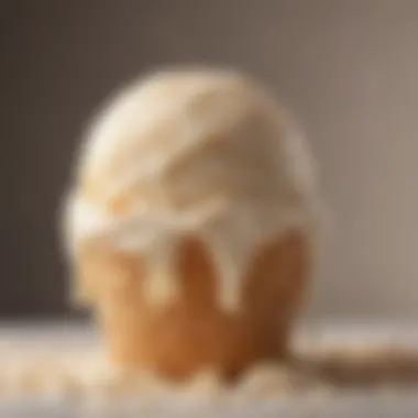 Close-up of creamy ice cream texture from a dual maker