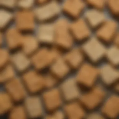 Texture Exploration of Different Crackers Close-up of textured crackers highlighting their unique features