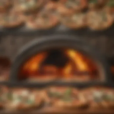 Cross-Section of Pizza Oven Designs A cross-section of various pizza oven designs illustrating material composition and their cultural significance.