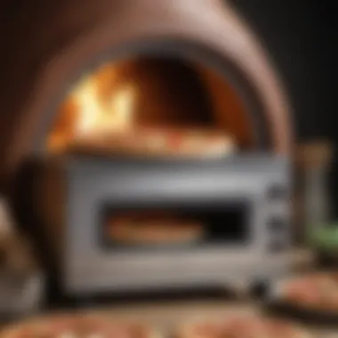 Evolution of Pizza Oven Technology A detailed infographic highlighting the evolution of pizza oven technology over the years.