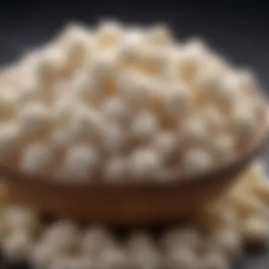 A variety of kefir grains in a bowl showcasing their unique shapes and textures