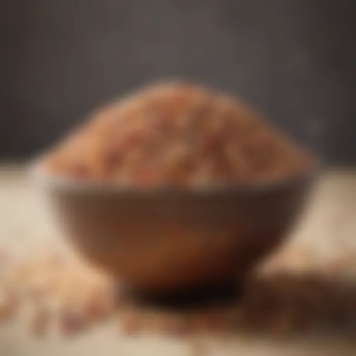 A bowl of sorghum grains showcasing its rich texture and color