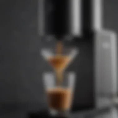 Detailed Features of the Yama Cold Coffee Brewer Close-up of the brewing apparatus highlighting its features