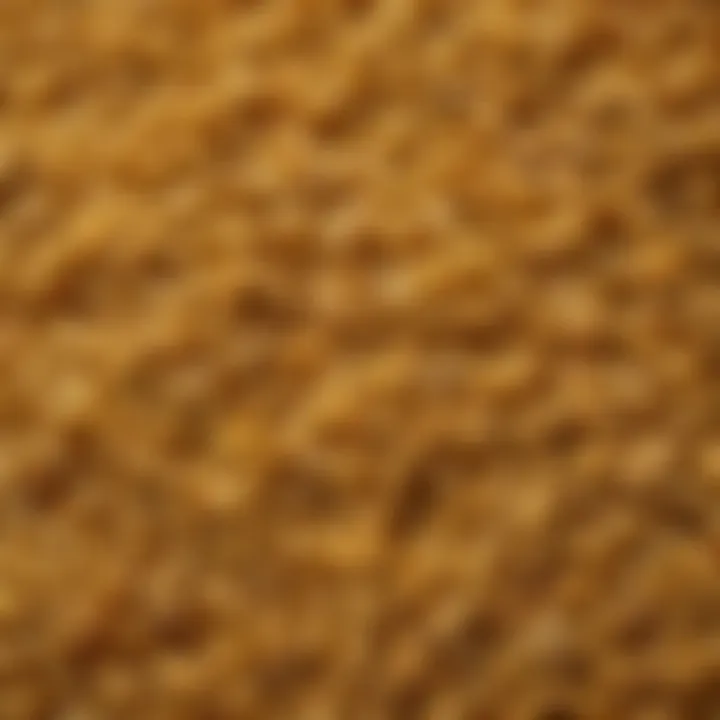 Close-up of a particular pasta shape showcasing its intricate design.