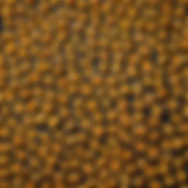 Artistic Arrangement of Unique Pasta Shapes A vibrant display of various unique pasta shapes arranged artistically.