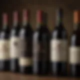 An elegant display of assorted wine bottles showcasing regional varieties.