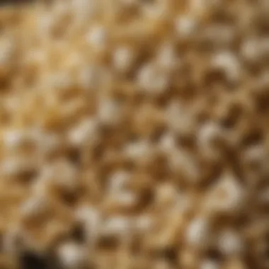 Close-up of popped corn sprinkled with garlic powder and spices