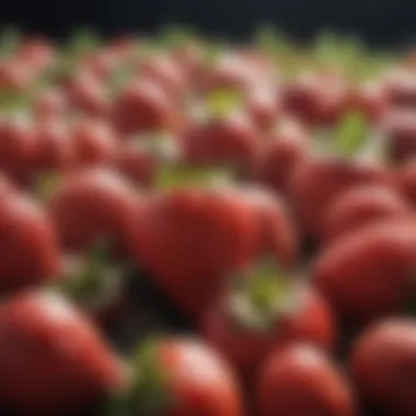 Lush strawberries ready for harvest on a sunny day