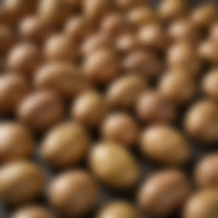 Selection of different types of potatoes for baking