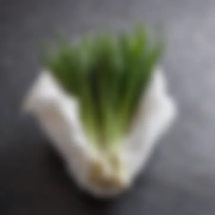 Green onions wrapped in a damp paper towel and placed in a bag