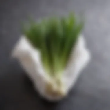 Damp Paper Towel Method for Freshness Green onions wrapped in a damp paper towel and placed in a bag