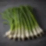 Freshly harvested green onions arranged neatly
