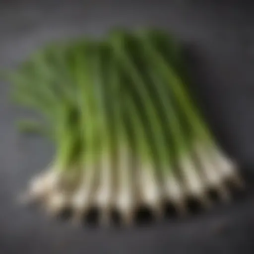 Freshly harvested green onions arranged neatly