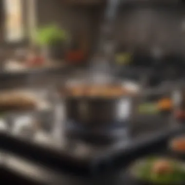Induction Cooking Demonstration with Vibrant Ingredients Induction cooking demonstration with vibrant ingredients