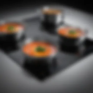 Sleek Design of an Induction Stovetop An induction stovetop with illuminated controls showcasing its sleek design