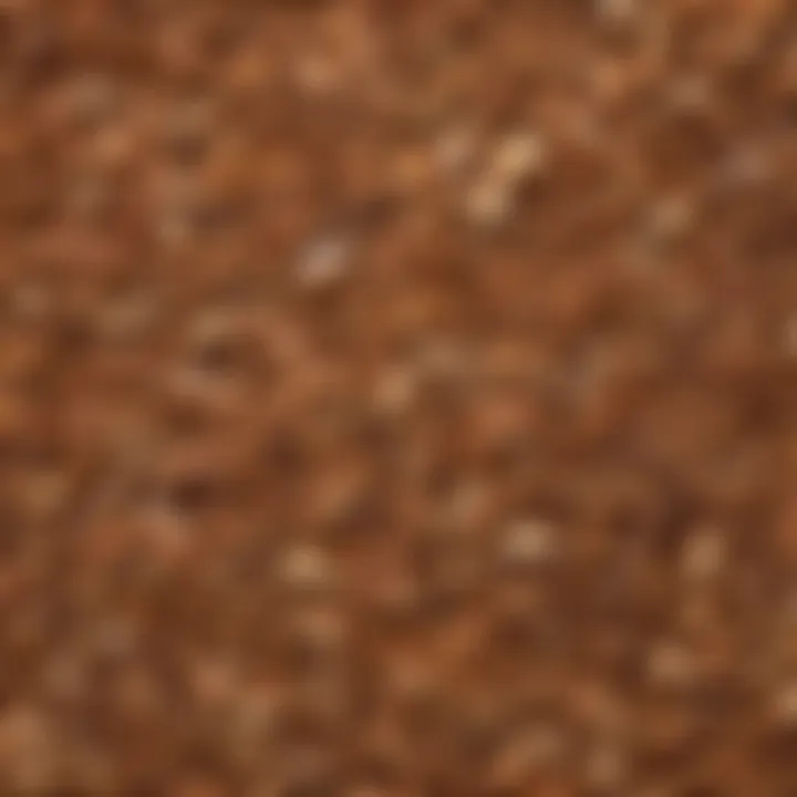 Various types of wood chips for smoking with labels