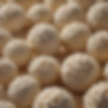 A close-up view of kefir grains, showcasing their unique texture and structure.