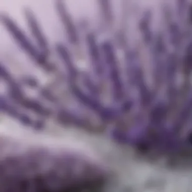 Textures of Lavender and Salt Crystals Close-up of lavender flowers and salt crystals, showcasing their unique textures