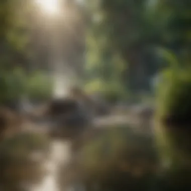 Water Management Techniques to Combat Mosquitoes Properly managed water features to deter mosquitoes