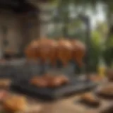 Close-up view of the rotisserie kit showcasing its sturdy build and innovative design.