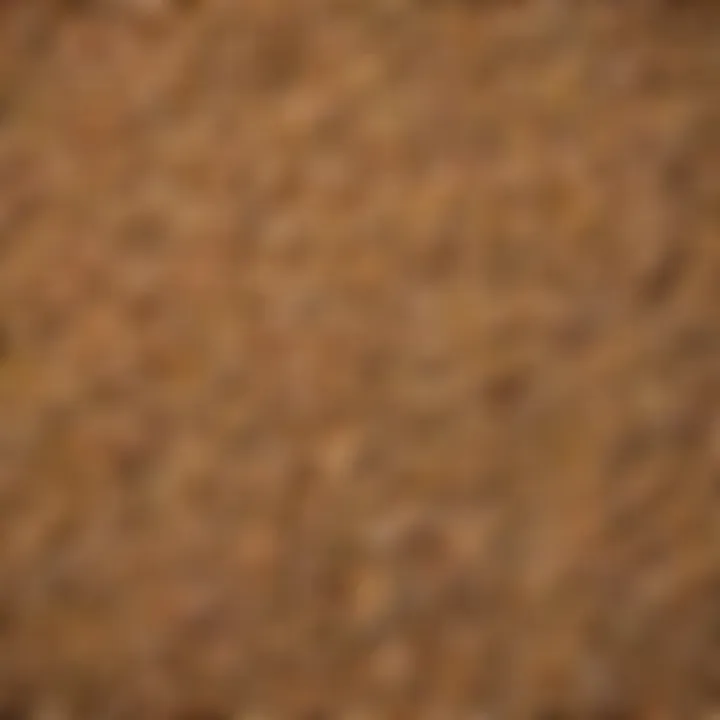 A close-up of whole grains, showcasing their texture and variety.