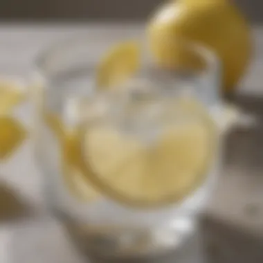 A glass of water with fresh lemon slices