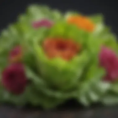 Lettuce with Pest-Repelling Flowers A beautiful arrangement of lettuce with flowers that repel pests