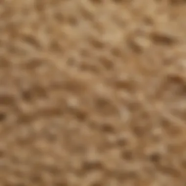 The Unique Texture of Old-Fashioned Oats A close-up of the texture of old-fashioned oats