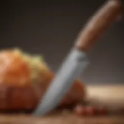 Close-up of a paring knife with intricate handle design