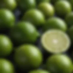 Fresh Persian limes showcasing vibrant green color and texture