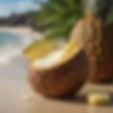 Close-up of a refreshing piña colada in a coconut shell