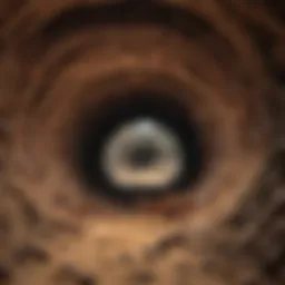 A close-up of an ant colony showcasing intricate tunnels and structures.