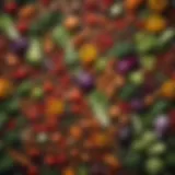 Colorful assortment of fresh vegetables