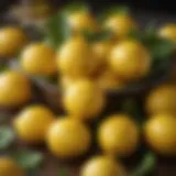 A vibrant display of freshly harvested lemons showcasing their natural beauty.