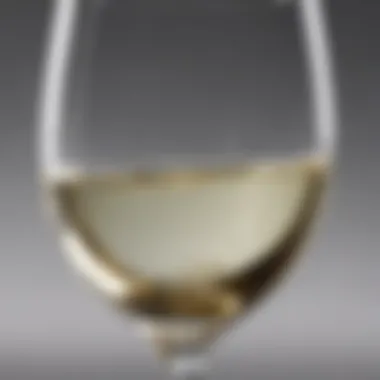 Close-up of a fine crystal white wine glass highlighting its clarity