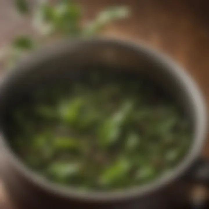 Close-up view of tea leaves steeping in a traditional pot