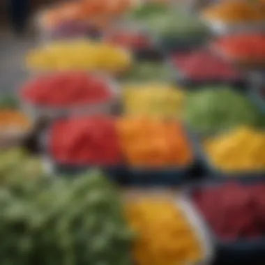 A vibrant farmers market showcasing fresh produce