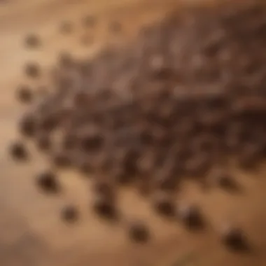 Coffee beans displayed artfully on a wooden table