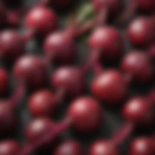 Vibrant beetroots showcasing their natural color and texture
