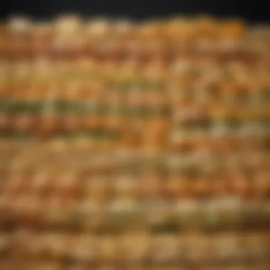 Diverse Selection of Subway Cheeses An array of Subway cheese options displayed elegantly