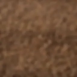 A close-up of cumin seeds highlighting their rich texture