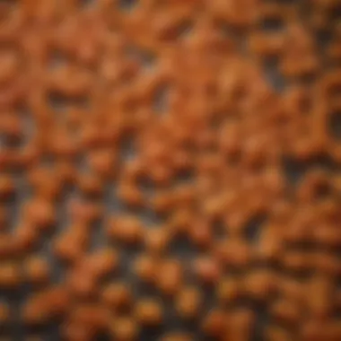 Ingredients in Hot Cheetos Ingredients list of Hot Cheetos