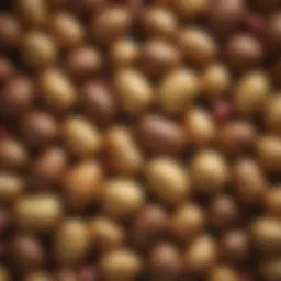 An artistic display of various potato varieties