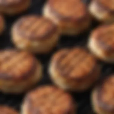 Grilled Seasoned Turkey Patties A close-up of turkey burger patties seasoned with spices on a grill