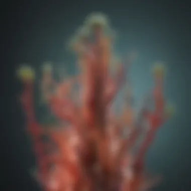 Visual representation of bacterial growth phases