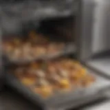 Accumulated food debris in a dishwasher