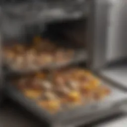 Accumulated food debris in a dishwasher