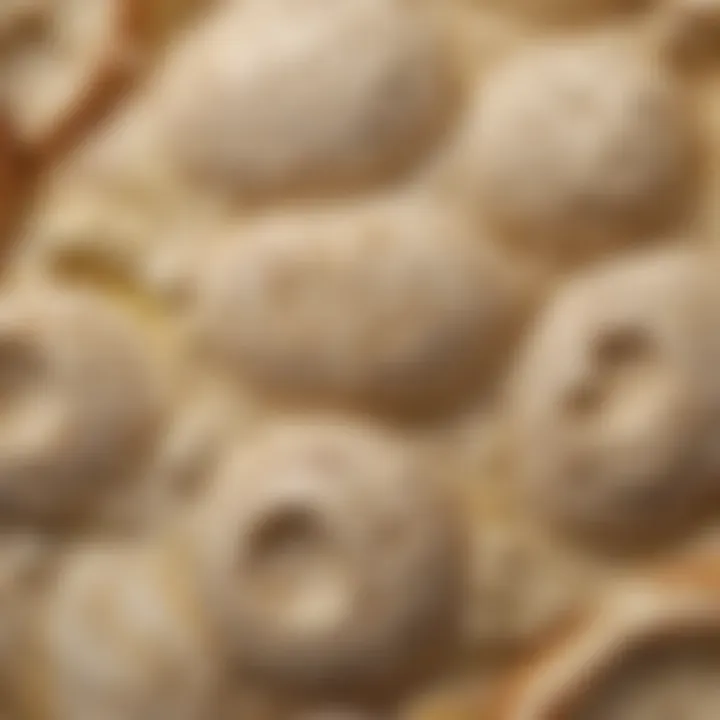 A close-up view of the texture and bubbles in a ripe sourdough starter, indicating its readiness.